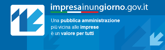 Impresa in un giorno
