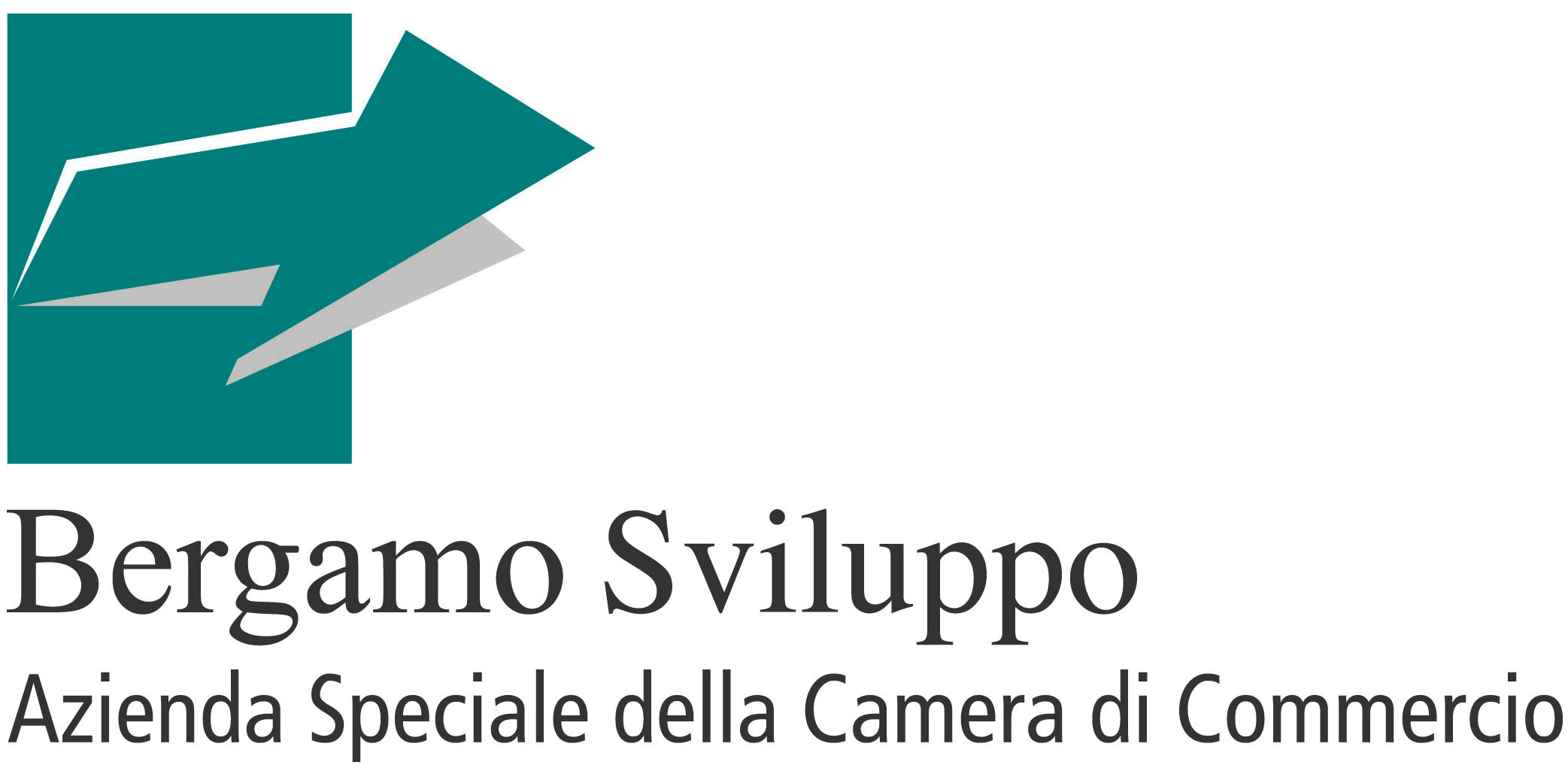 logo Bergamo Sviluppo