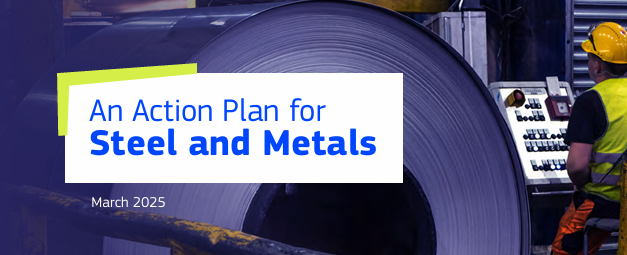 Action Plan