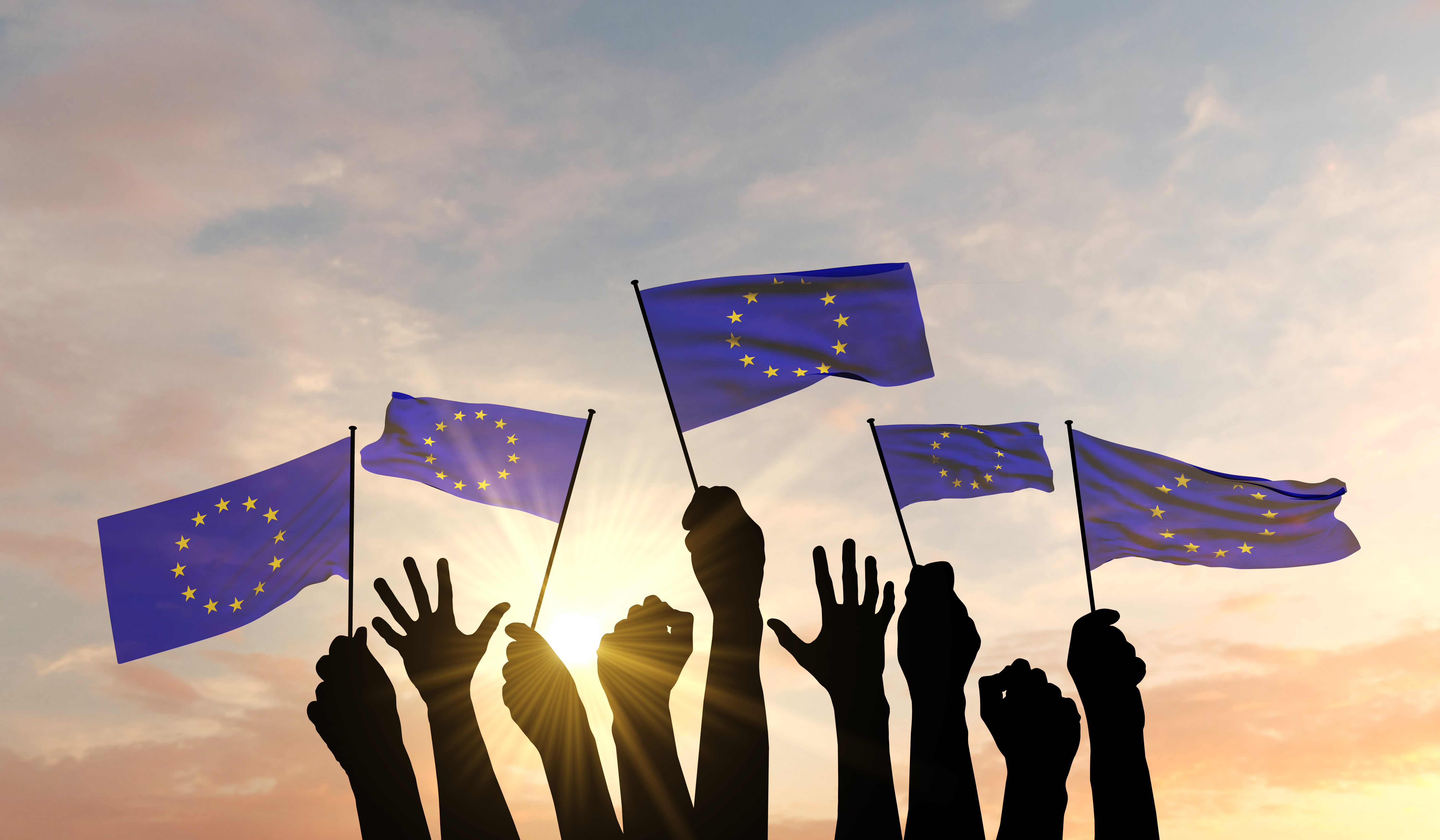 bandiere ue
