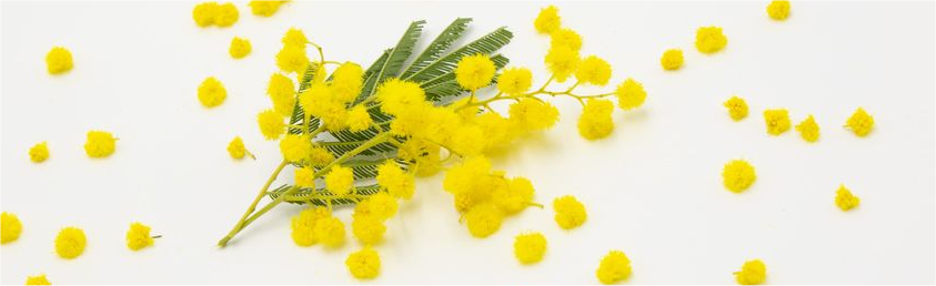 imprenditoria femminile