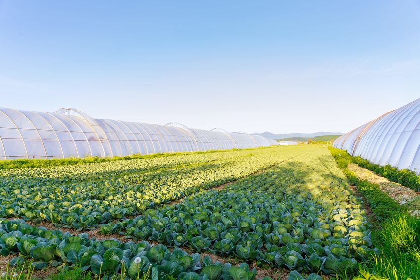 agricoltura vivaismo incontri b2b