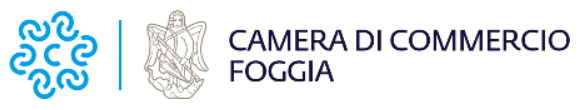 Consultazione pubblica sulle linee programmatiche 2027