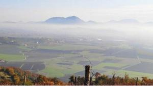 Area Berica 2030 per uno Sviluppo Territoriale Sostenibile - CCIAA Vicenza Schede primarie