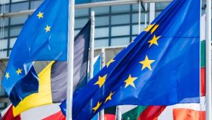 BANDIERE DAVANTI AL PALAZZO DEL PARLAMENTO