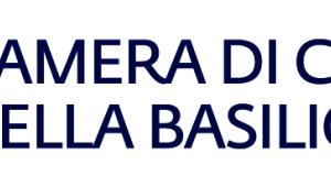 logo CCIAA Basilicata