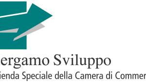 logo Bergamo Sviluppo