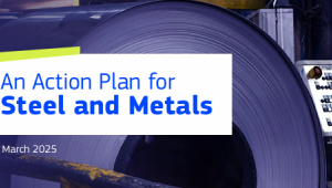 Action Plan
