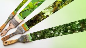 green claims e green washing
