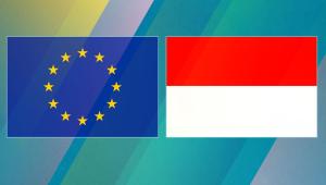 INDO