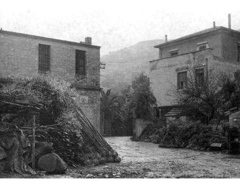 Il vivaio Marconi in una foto d'epoca