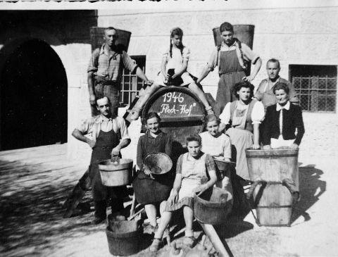 Vendemmia, 1946