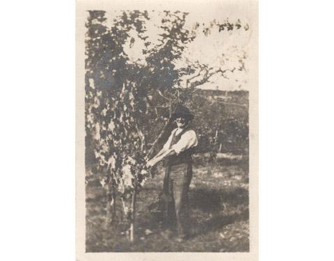 Il sig.Tanini, colono della Fattoria di Travignoli (1950 circa)