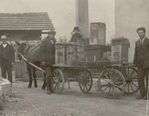 Reperimento di alveari "villici" per il recupero della cera d’api necessaria per la produzione delle candele (inizi del Novecento)