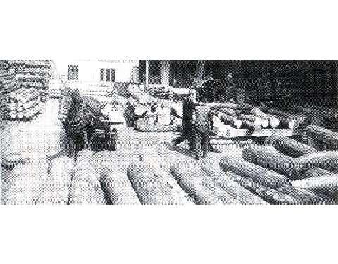 L'azienda nei primi anni cinquanta