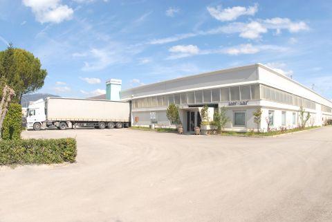 L'azienda oggi