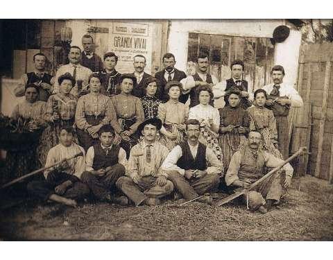 Scuola di innesto grandi vivai di Grignasco e Gattinara (1914)