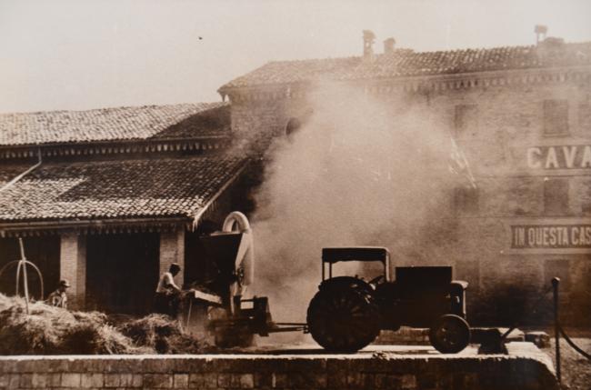 L'attività agricola, anni Cinquanta