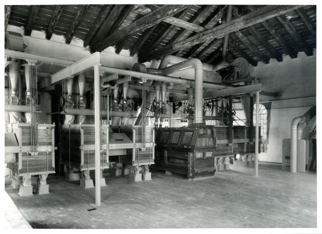 Interno del Molino, 1959