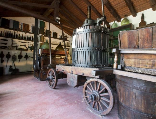 La sala Viticultura e Enologia presso il Museo dell'impresa