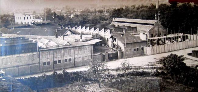 Lo stabilimento di Pinerolo, primi del Novecento