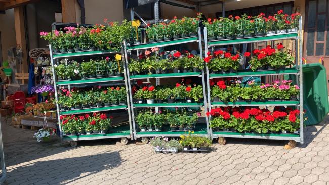 Particolare dell'esterno dedicato anche alla vendita di piante da fiore 