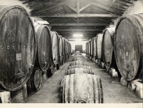 Interno della cantina, 1934