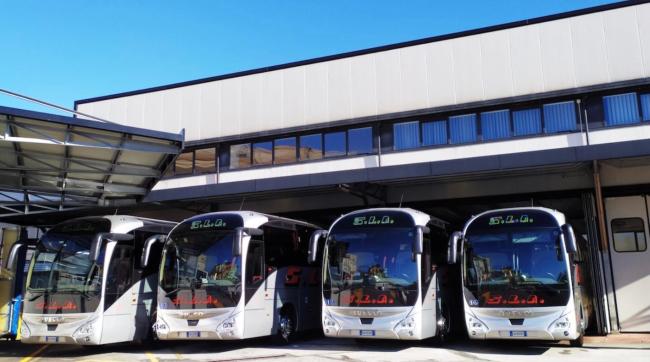 Nuovi modelli di autobus, 2020