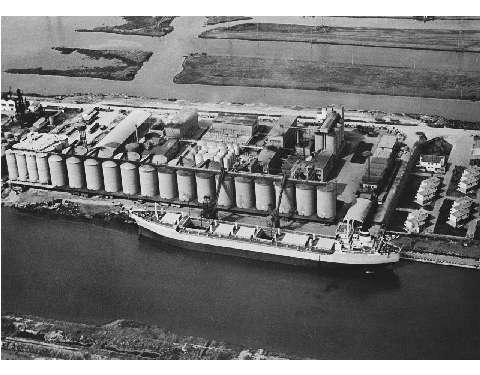 Stabilimento Italiana Olii e Risi, Porto Corsini