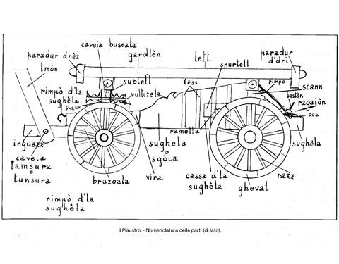 Illustrazione plaustro con indicazioni nominative in dialetto romagnolo raccolte da F. Melandri nel 1979