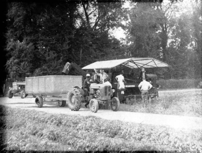 La raccolta del pomodoro, anni Sessanta