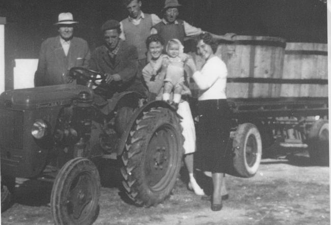 Fotografie storiche di vendemmia