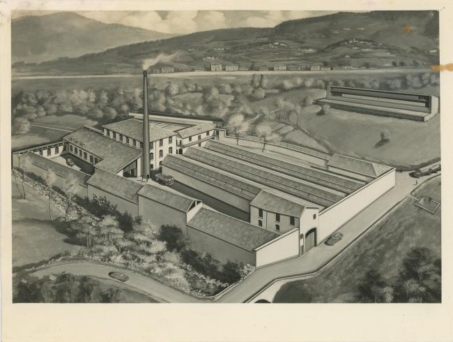 Il progetto del nuovo stabilimento, anni Quaranta-Cinquanta