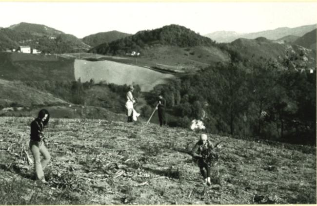 Le attività nei campi 