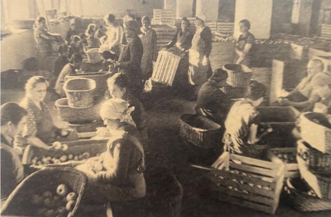 Maestranze al lavoro, anni Cinquanta