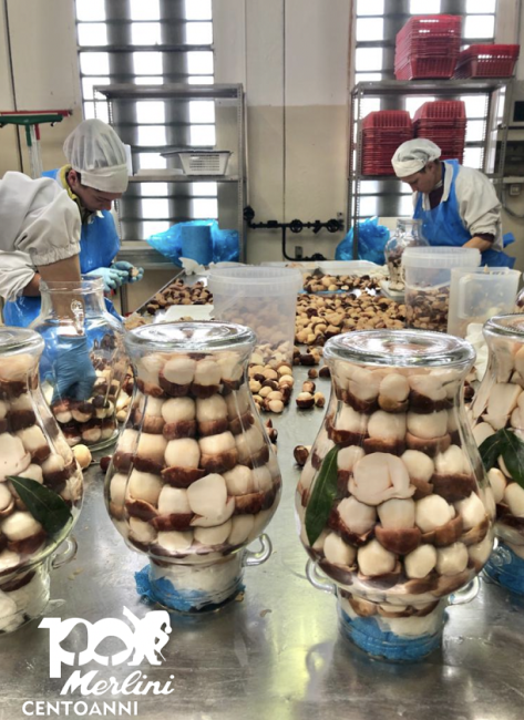 Le confezioni di funghi conservati, oggi 