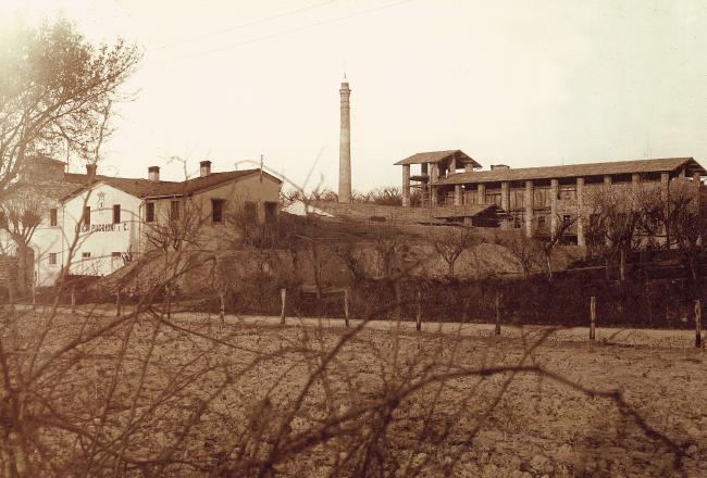 L'azienda Puccioni a Castelfiorentino, fine Ottocento
