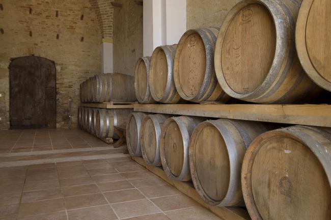 Le botti utilizzate per l'affinamento del vino