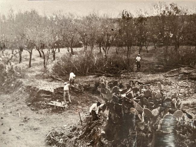 Attività agricole negli anni Venti del Novecento