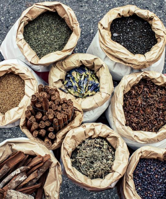 Le spezie usate per aromatizzare i vini; (da sinistra) china, semi di coriandolo, menta piperita, aloe, anice stellato, ginepro e, al centro - dall'alto -, genziana, cannella e artemisia