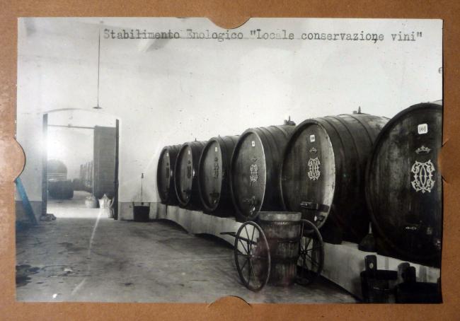 Il locale conservazione vini, primi anni del Novecento