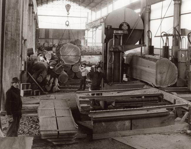 La segheria nei primi anni Settanta. La dimensione dei tronchi è quella dei legni esotici di grandi dimensioni