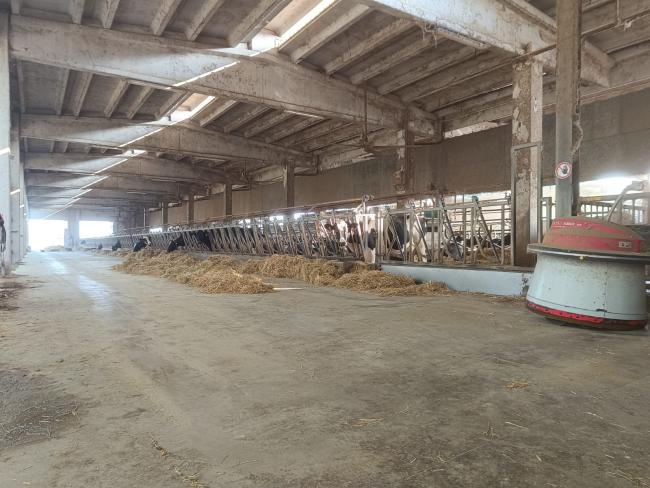 Una delle stalle ricovero degli animali 